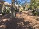Landscaped courtyard with desert plants at 10321 Junction Hill Dr, Las Vegas, NV 89134