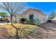 Beautiful view of the side yard featuring desert landscaping and a well manicured lawn at 1595 Cattle Ranch Pl, Henderson, NV 89002