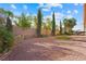 Landscaped backyard with rock and trees at 3757 Brittany Nicole Ct, Las Vegas, NV 89139