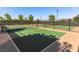 Well-maintained pickleball courts with green and dark green playing surfaces, nets, and perimeter fencing at 1012 Water Cove St, Henderson, NV 89011