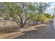 Backyard with gravel, mature trees, and a fence at 12 Oro Valley Dr, Henderson, NV 89052