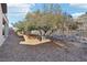 Backyard with gravel, mature trees and a view of the mountains at 12 Oro Valley Dr, Henderson, NV 89052