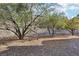 Backyard features gravel ground cover, mature trees, and a metal fence at 12 Oro Valley Dr, Henderson, NV 89052