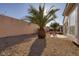 Desert landscaped backyard featuring a large palm tree and hardscape elements at 3025 Seaford Peak Dr, Henderson, NV 89052