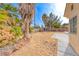 Backyard with palm trees, grass and concrete patio at 4416 Inez Dr, Las Vegas, NV 89130