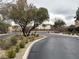 Street view of the community entrance showcasing well-maintained landscaping at 8396 Waylon Ave, Las Vegas, NV 89178