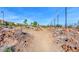 Nature trail through landscaped park area at 2986 Gallarate Dr, Henderson, NV 89044