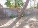 Backyard with dirt, palm tree, and wall at 384 Norlina Ct, Henderson, NV 89014