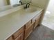 Bathroom with single sink vanity and toilet at 384 Norlina Ct, Henderson, NV 89014