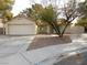 House exterior showcasing a large garage and a tree in the front yard at 384 Norlina Ct, Henderson, NV 89014