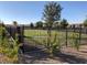 Fenced dog park with grass and landscaping at 473 Harvest Rain Ave, Henderson, NV 89011