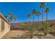 Backyard with gravel and palm trees at 685 Viale Machiavelli Ln, Henderson, NV 89011