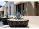 Landscaped area with agave plants in modern planters at 78 Hawk Ridge Dr, Las Vegas, NV 89135