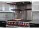 Stainless steel range with red knobs and wood cutting board at 78 Hawk Ridge Dr, Las Vegas, NV 89135