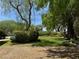 Landscaped backyard with mature trees and a grassy area at 1327 Coulisse St, Henderson, NV 89052