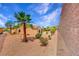 Landscaped backyard with gravel, desert plants, and a palm tree at 2090 Lewiston Pl, Henderson, NV 89044