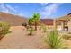 Desert landscaping with palm trees and gravel at 2090 Lewiston Pl, Henderson, NV 89044