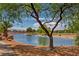 Serene lake view with a tree and ducks at 6075 Jutland Ave, Las Vegas, NV 89122