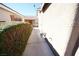 Exterior shot of the side yard with a well-manicured hedge running alongside a pathway at 1025 Chestnut Bay Ave, North Las Vegas, NV 89031