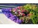 Landscaped flowerbed with purple, pink, and white flowers at 3150 Soft Breezes Dr # 2025, Las Vegas, NV 89128