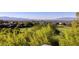 Scenic view overlooking lush golf course, mature trees and skyline at 641 Saint Croix St, Henderson, NV 89012
