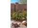 Backyard with a fruitful lemon tree, decorative turtle statues, rock landscaping and block wall at 5635 Exotic Rosette Ave, Las Vegas, NV 89139