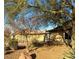 Mature trees and desert landscaping along the side of the home at 7415 Constantinople Ave, Las Vegas, NV 89129