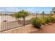 Backyard view of a wrought iron fence and neighborhood common area with mature trees at 1172 Via Della Costrella, Henderson, NV 89011