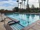 Enjoy the community pool with swim lanes, palm trees, and lounge chairs at 1172 Via Della Costrella, Henderson, NV 89011