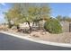 Lovely desert landscape with mature trees and shrubs surrounding the home at 7288 Olsen Farm St, Las Vegas, NV 89131