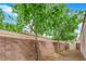 View of the side yard featuring desert landscaping and a block wall at 2413 Cook Out Ct, Henderson, NV 89002