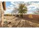 Backyard with gravel, foliage and block wall that provides privacy at 210 Bristle Cone, Pahrump, NV 89048