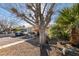 House with a gravel driveway and walkway, mature tree and desert landscaping at 2116 Poplar Ave, Las Vegas, NV 89101