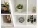 White shelves with various plants and decor at 29 Montelago Blvd # 337, Henderson, NV 89011