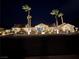 Elegant home exterior illuminated at night, featuring manicured landscaping and towering palm trees, creating a welcoming ambiance at 321 E Middleton Dr, Henderson, NV 89015