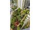 Aerial view of lush landscaping and resort amenities at 145 E Harmon Ave # 2306, Las Vegas, NV 89109