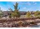 Community view showcasing well-maintained landscaping and building exteriors at 3975 N Hualapai Way # 266, Las Vegas, NV 89129