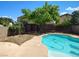 Backyard pool featuring a mature shade tree and a small storage shed at 7633 Winterthur Ct, Las Vegas, NV 89129
