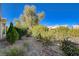 Landscaped backyard with mature shrubs and trees at 10228 Questa Sera Ct, Las Vegas, NV 89135