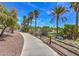 Paved path with desert landscaping and palm trees at 8316 Broad Peak Dr, Las Vegas, NV 89131