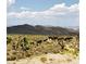 Herd of wild horses in a desert landscape at 936 Elon Ln, Indian Springs, NV 89018