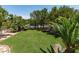 Large backyard with green grass, trees and desert landscape at 2604 Sun Reef Rd, Las Vegas, NV 89128