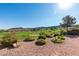 Landscaped backyard with a golf course view and gravel at 2084 Tiger Links Dr, Henderson, NV 89012