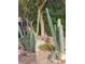 Xeriscaped backyard with tall cacti and gravel at 6136 Evensail Dr, Las Vegas, NV 89156