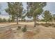 Lush golf course view showcasing mature trees and desert landscaping at 7517 Lintwhite St, North Las Vegas, NV 89084