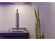 Close up of a wet bar featuring a beer tap and decorative plants at 8620 Grove Mill Ct, Las Vegas, NV 89139