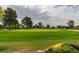 Expansive golf course showcasing meticulously manicured greens, mature trees, and lush fairways at 5416 Lochmor Ave, Las Vegas, NV 89130