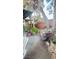 Landscaped backyard with mature trees and stone pathway at 1825 Ann Greta Dr, Las Vegas, NV 89108