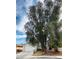 House exterior with a large tree and driveway at 1825 Ann Greta Dr, Las Vegas, NV 89108
