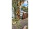 Side yard with a large palm tree and fence at 1825 Ann Greta Dr, Las Vegas, NV 89108